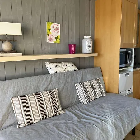 Calme, Proche Plage, Lave-linge, Animaux Ok - Fr-1-702-26 *