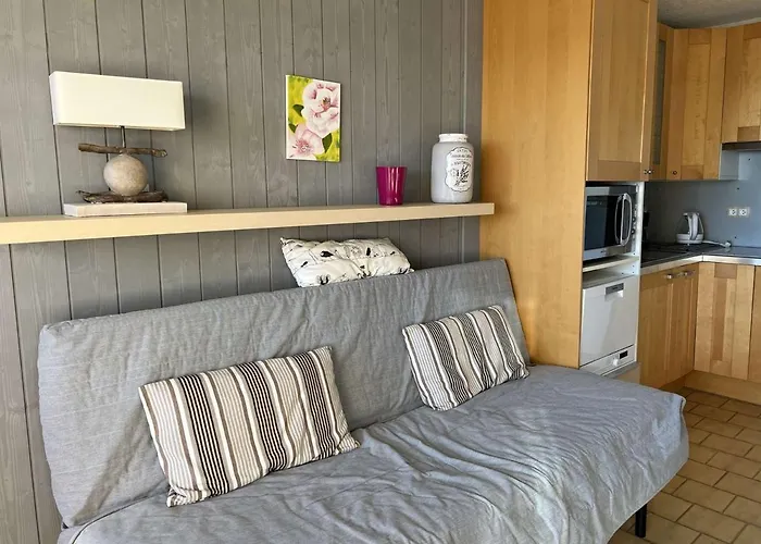 Calme, Proche Plage, Lave-linge, Animaux Ok - Fr-1-702-26 *