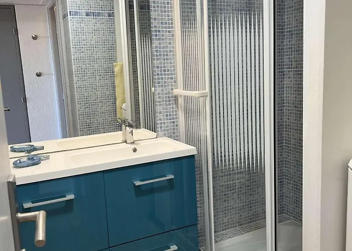 Lägenhet Calme, Proche Plage, Lave-linge, Animaux Ok - Fr-1-702-26